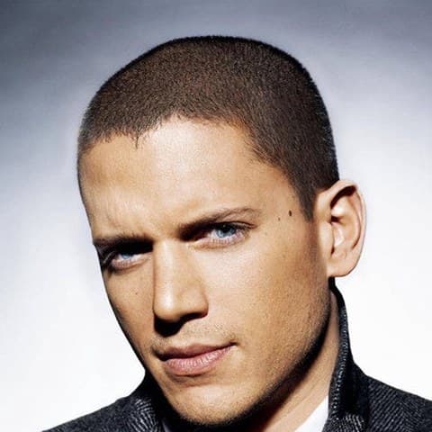 Wentworth Miller