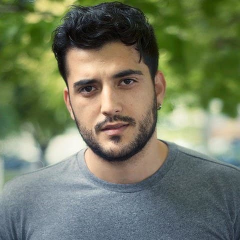 Phoenix Raei